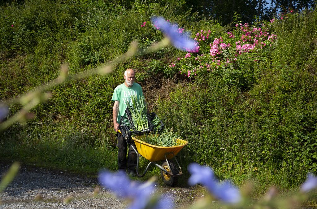 Sunny Meadow Farms – Portumna