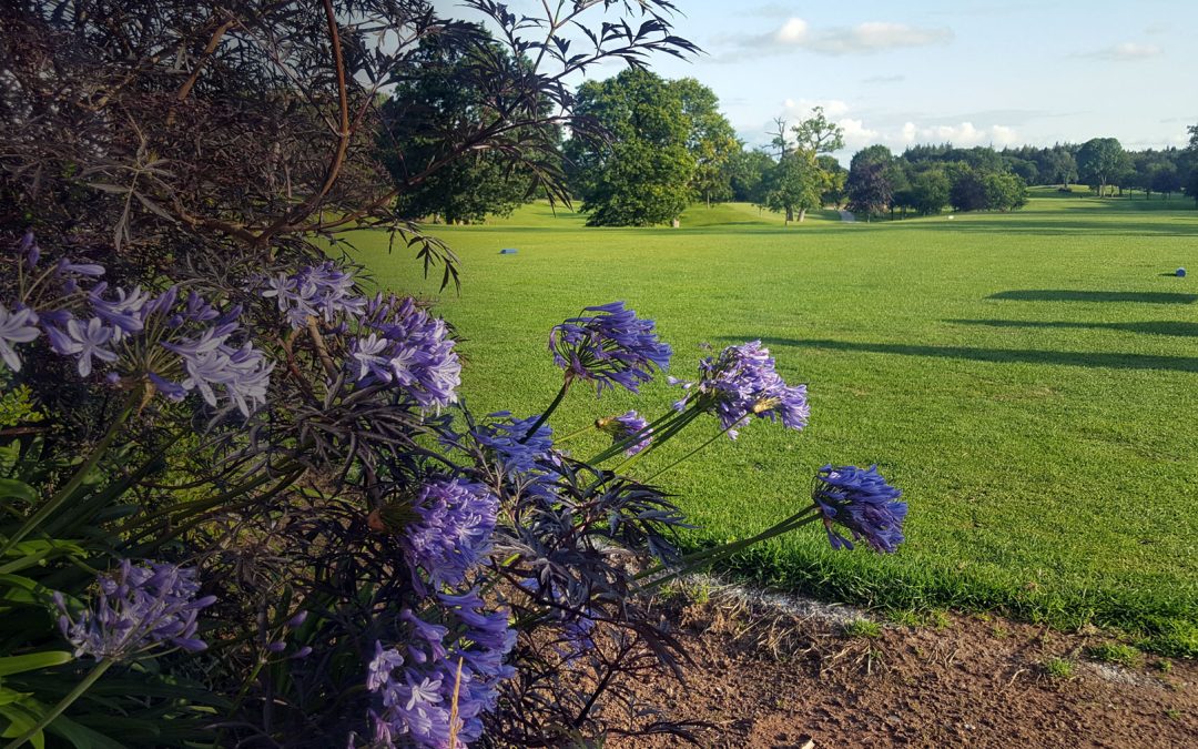 Portumna Golf Club Restaurant