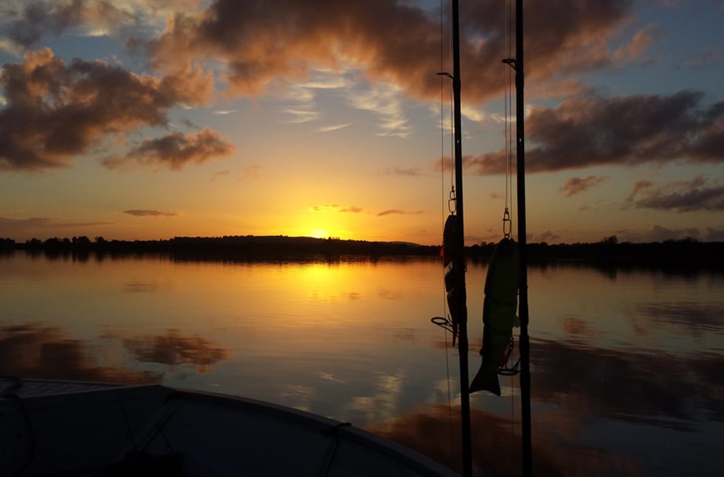 Tj’s Angling Centre – Ballina