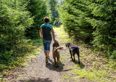 Portumna - Forest Park