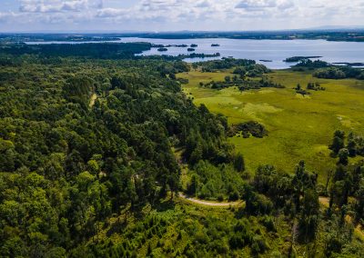 Portumna - Forest Park