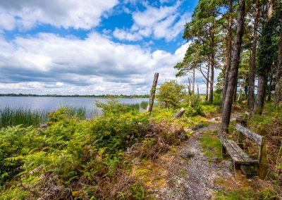 Portumna - Forest Park