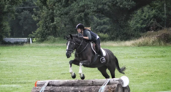 Flowerhill Equestrian Centre