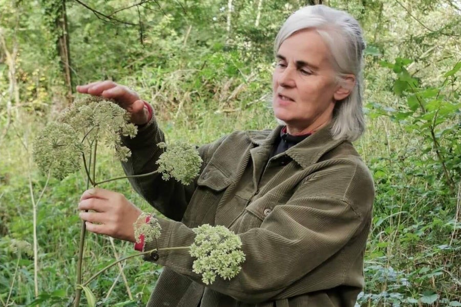 Wild Food Mary